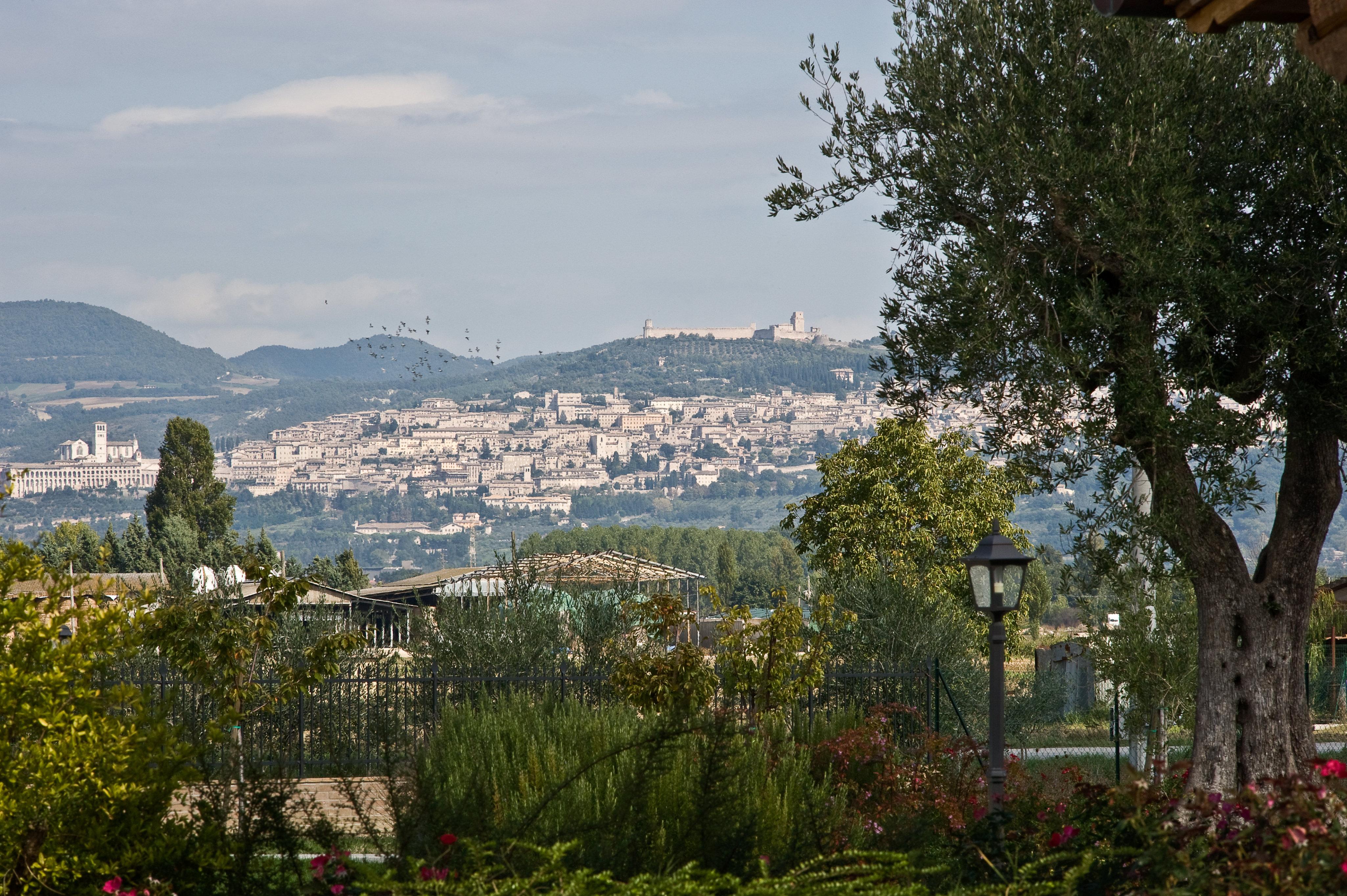 Agriturismo Le Rondini Di Francesco Di Assisi Cannara Экстерьер фото