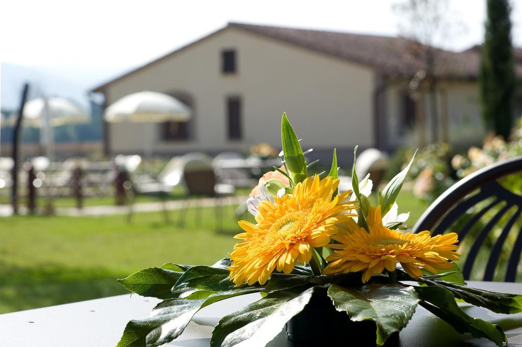 Agriturismo Le Rondini Di Francesco Di Assisi Cannara Экстерьер фото