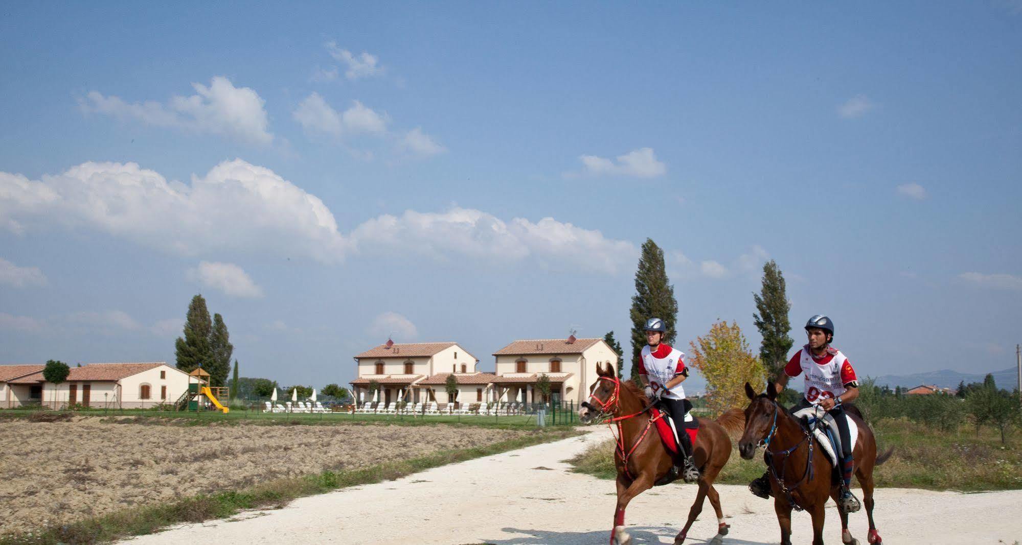 Agriturismo Le Rondini Di Francesco Di Assisi Cannara Экстерьер фото